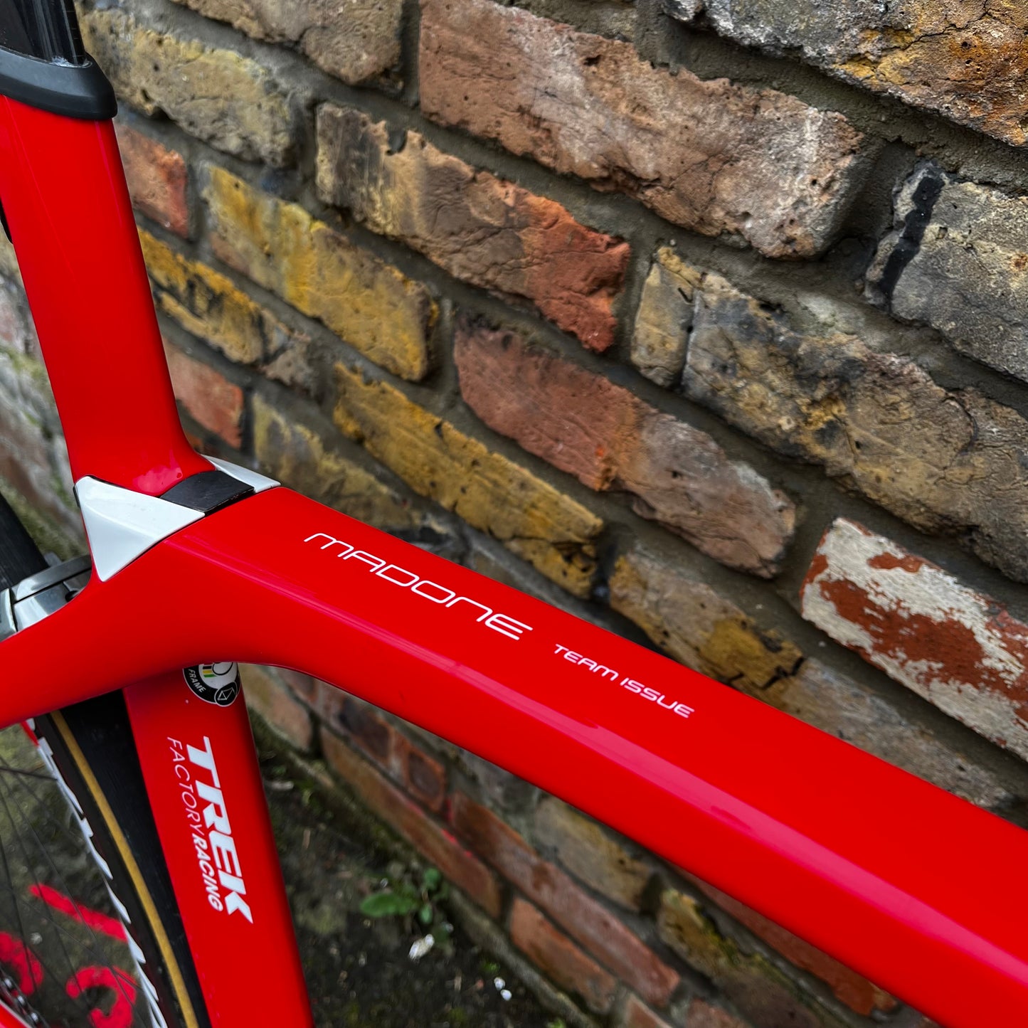 TREK Madone RSL Team Issue Project One Dura Ace Di2 Carbon Aero Road Bike 54cm