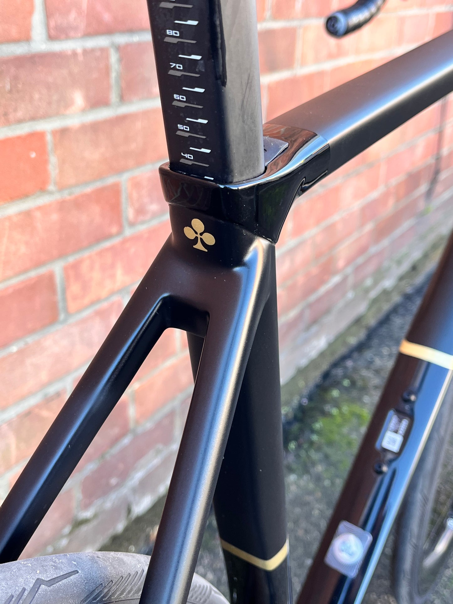 Colnago C68 Ultegra Di2 12sp Enve SES 3.4 Titanium Carbon Disc Road Bike - 51s/54cm
