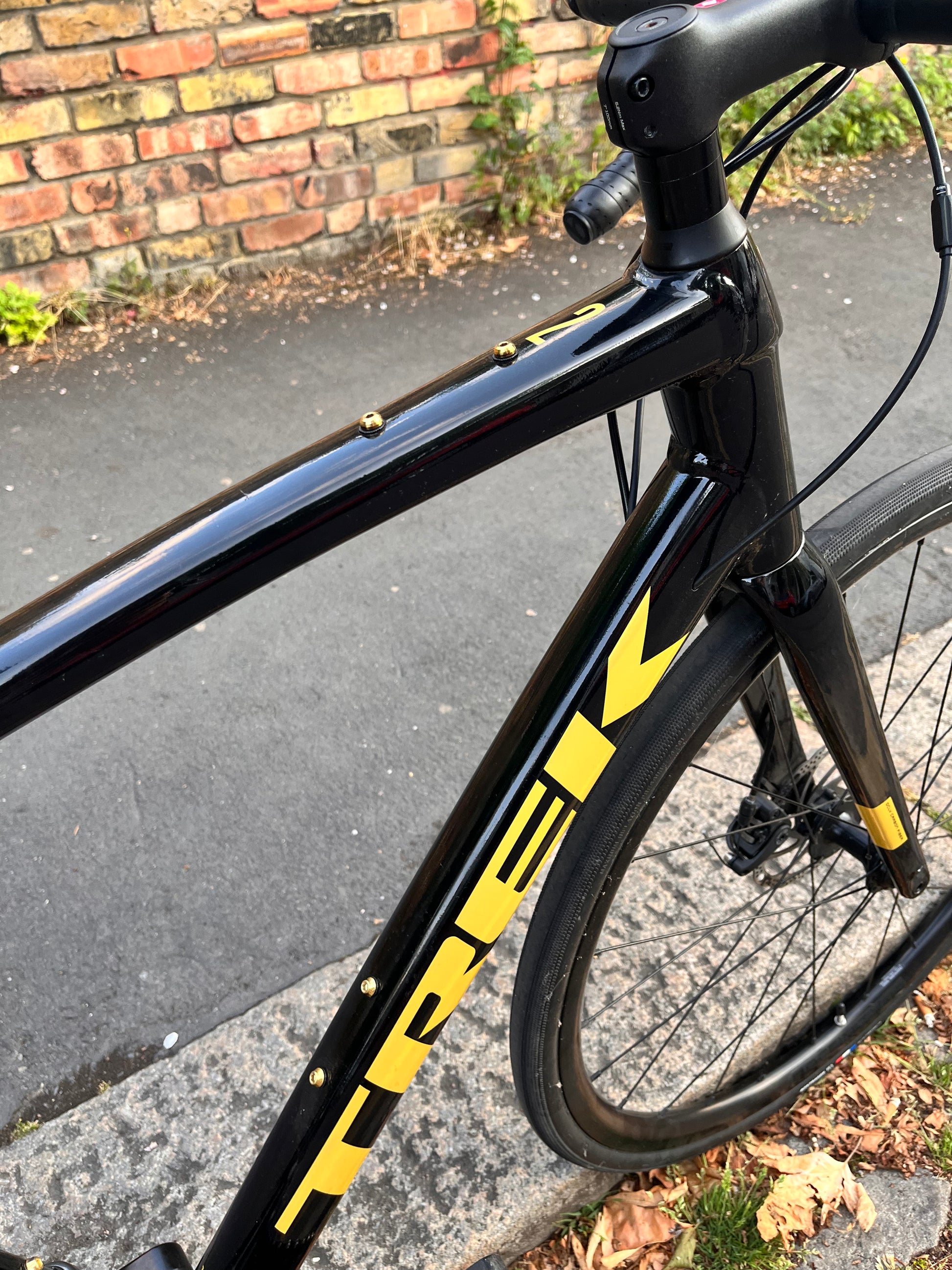 Domane al best sale 2 disc 2021