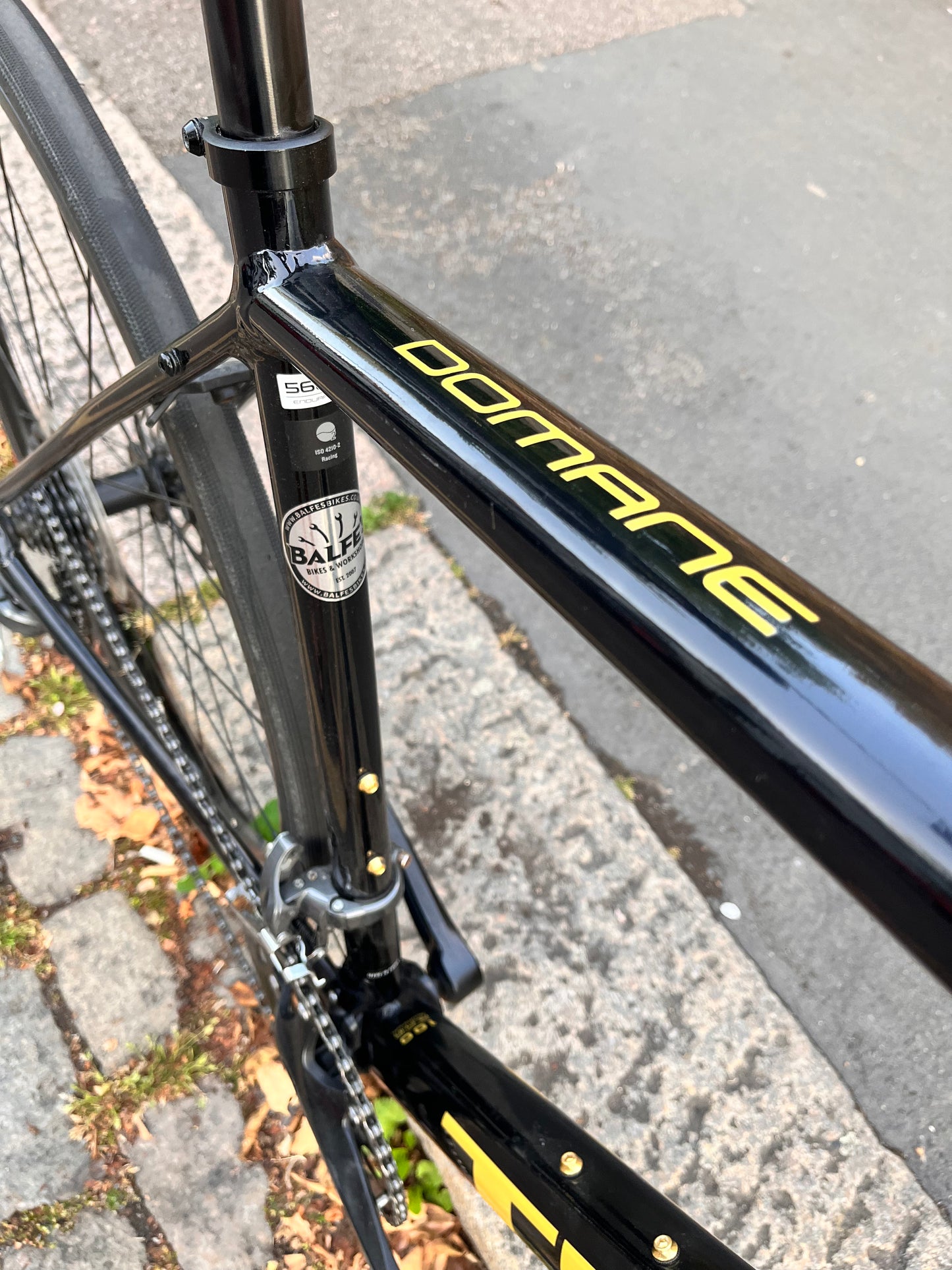 Trek Domane AL2 Disc 2022